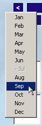 months drop down